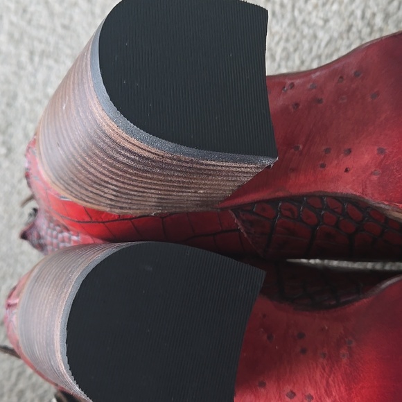 Freebird Randi - Picture 5 of 5